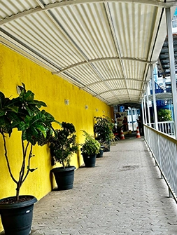 1 - cópia 2