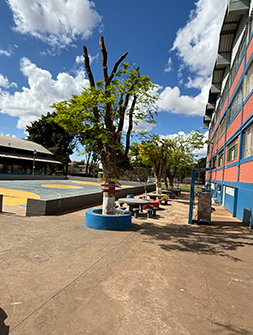 foto-07