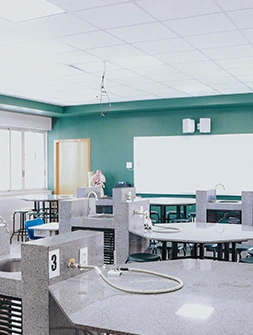 foto-11