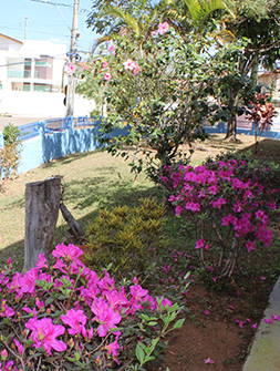 foto-15